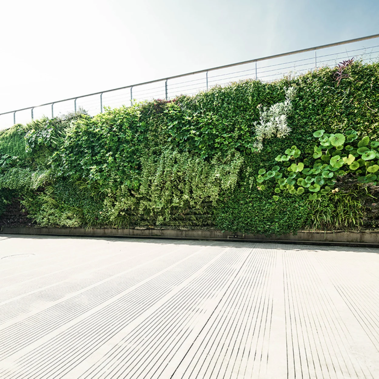 Modern building with a lush vertical garden wall, showcasing sustainable architecture and eco-friendly urban design.