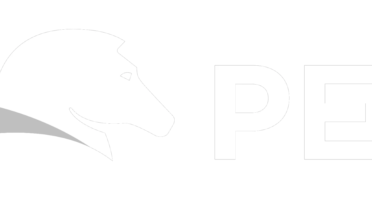 Pega Logo White pega-logo-horizontal-reverse-transparent-rgb-01 (1).png