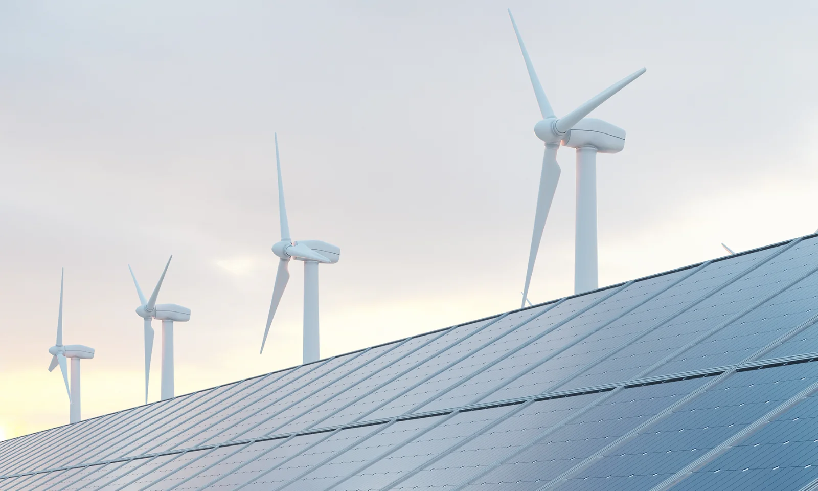 Close-up of vibrant green ivy spreading across a light gray concrete wall, symbolizing sustainability and natural growth