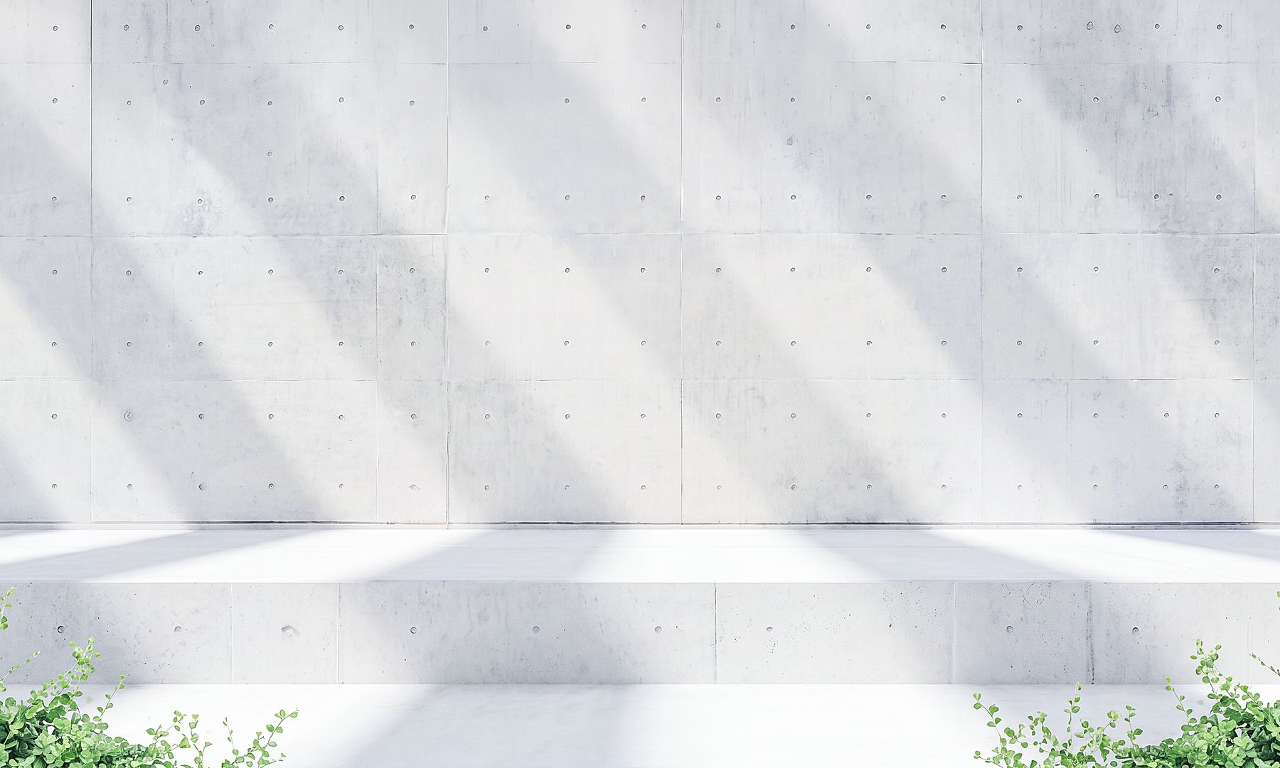 Modern concrete wall with geometric panelling, soft natural light and shadows, stepped platforms, and small green plants in a minimalist architectural setting.