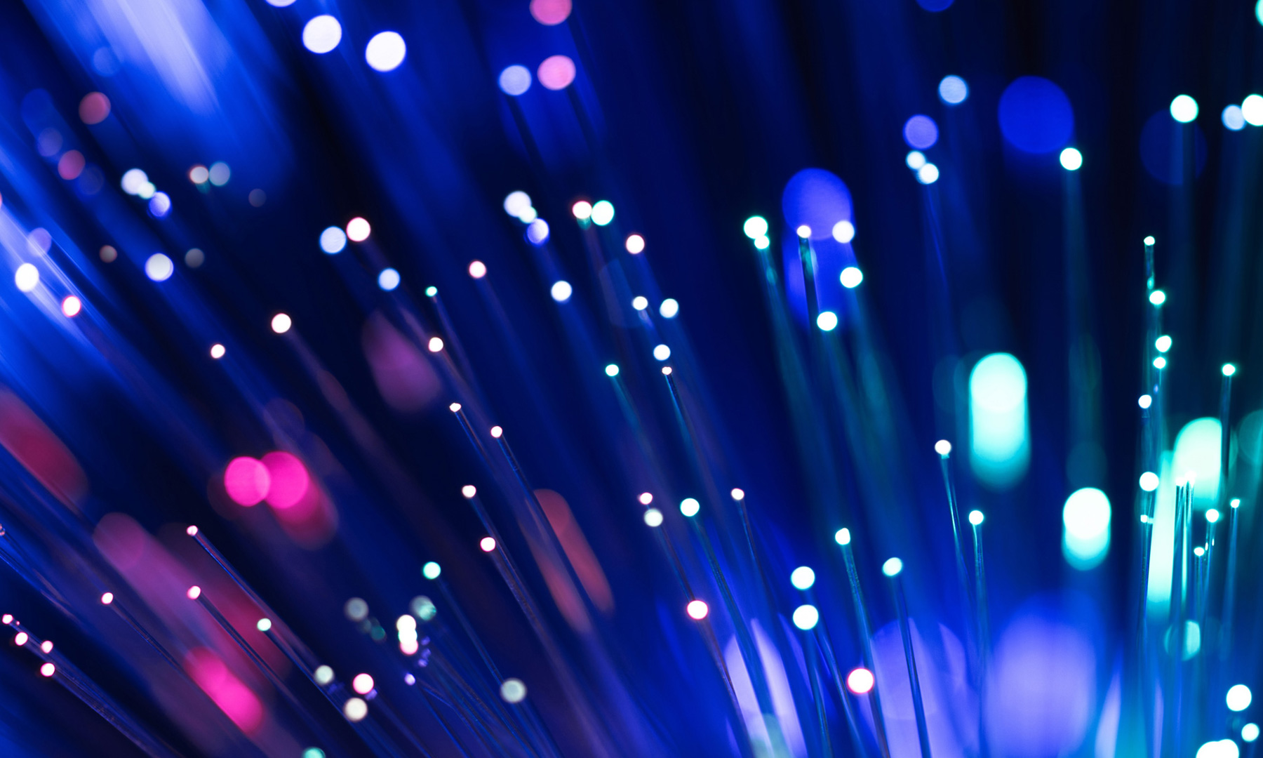 The Future of Connectivity – Fibre Optics and Digital Transformation A close-up of vibrant fibre optic cables emitting blue and pink light, symbolising high-speed connectivity and the backbone of digital infrastructure.