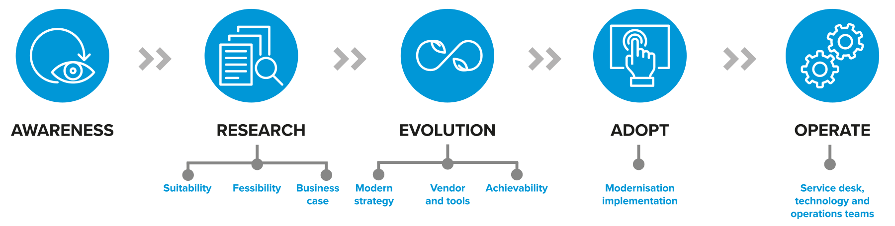 Application and mainframe modernisation: Our Strategic Evolution Criteria